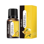 Difusor de Aroma y Humidificador Ultrasónico con Lámpara de Llama de Siete Colores