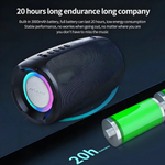 Bocina Bluetooth Portátil Altavoz Zealot S61 Negro